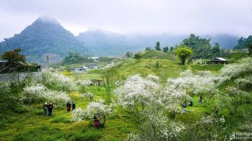 Những điểm du Xuân thú vị ở Nghệ An