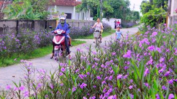 Sức bật từ những miền quê