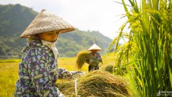 Chính sách về nhân sự, việc làm, tài chính có hiệu lực từ tháng 2/2023