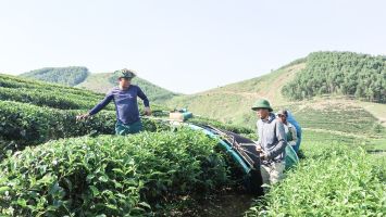 Tổ đổi công – Mô hình hay ở miền núi