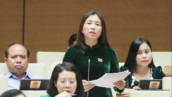 ĐBQH Hoàng Thị Thu Hiền: Cần thu hút sự quan tâm của doanh nghiệp, người dân đối với phát triển nông, lâm nghiệp bền vững