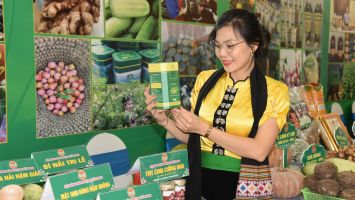 Nông dân vươn lên làm chủ công nghệ số