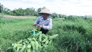 Đánh thức tiềm năng vùng bãi nổi