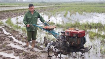 Ban Dân tộc tỉnh trả lời cử tri Lo Văn Cường, người uy tín bản Văng Môn, xã Tam Hợp, huyện Tương Dương về thu hồi máy cày