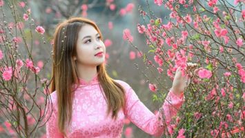 Thủ tướng đồng ý nghỉ Tết Nguyên đán Giáp Thìn 7 ngày