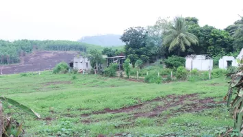 Quan tâm giám sát, đôn đốc việc giải quyết kiến nghị cử tri và đơn thư của công dân