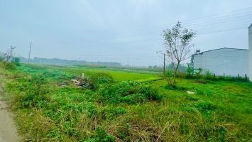 Sớm triển khai thực hiện dự án khu đô thị mới Đông Vĩnh