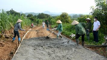 Quan tâm hỗ trợ xi măng để xây dựng đường giao thông nông thôn