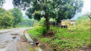 Quan tâm sửa chữa, nâng cấp tuyến đường Quốc Lộ 48