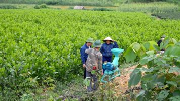 Một số cử tri muốn làm rõ thời hạn bàn giao, cấp giấy chứng nhận quyền sử dụng đất có nguồn gốc từ nông, lâm trường