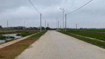 Bộ Tài nguyên và Môi trường trả lời kiến nghị cử tri về sửa đổi, hoàn thiện quy định về đấu giá quyền sử dụng đất và nguyên tắc giao đất nông nghiệp