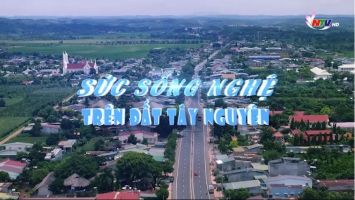 Sức sống Nghệ trên đất Tây Nguyên