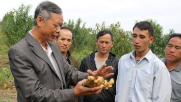 Huyện biên giới Kỳ Sơn có thêm 6 sản phẩm đạt OCOP 3 sao cấp tỉnh