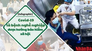 [Infographic] Quy định về Covid-19 là bệnh nghề nghiệp được hưởng bảo hiểm xã hội