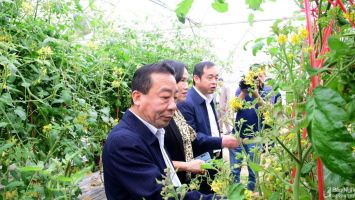 Đô Lương tập trung hoàn thiện hồ sơ để trình Trung ương công nhận huyện nông thôn mới