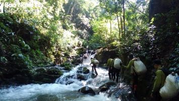 Thường trực HĐND tỉnh Nghệ An thống nhất xây dựng chính sách hỗ trợ lực lượng chuyên trách bảo vệ rừng