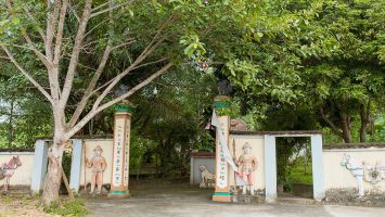 Sở Văn hóa – Thể thao trả lời cử tri Nguyễn Đình Long, xóm 8, xã Nghĩa Đồng, huyện Tân Kỳ về việc duy tu, tôn tạo di tích Đình Sen và đền Đức Ông