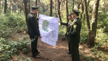 Sở Nông nghiệp và Phát triển nông thôn trả lời cử tri Hà Văn Việt, xóm 2, xã Khánh Sơn, huyện Nam Đàn về cắm mốc chỉ giới phân loại rừng