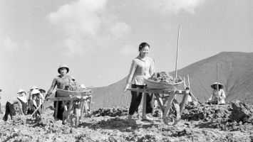 Sở Nội vụ trả lời cử tri phường Bến Thủy, thành phố Vinh về chi trả phụ cấp cho cán bộ Hội Cựu Thanh niên xung phong