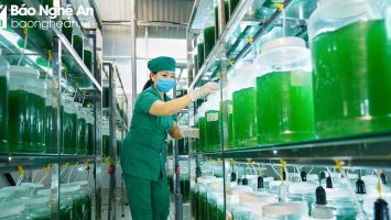 Quỳnh Lưu tạo điều kiện thuận lợi trong lĩnh vực thu hút đầu tư