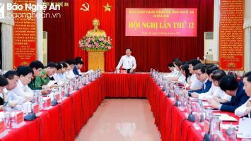 Phối hợp, chuẩn bị chu đáo để trình Bộ Chính trị Tổng kết 10 năm thực hiện Nghị quyết số 26 về Nghệ An