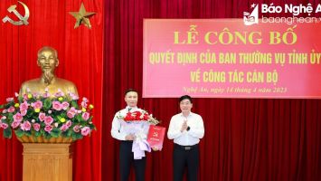 Công bố Quyết định của Ban Thường vụ Tỉnh ủy bổ nhiệm Thư ký Bí thư Tỉnh ủy Nghệ An
