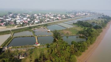 Men một triền đê