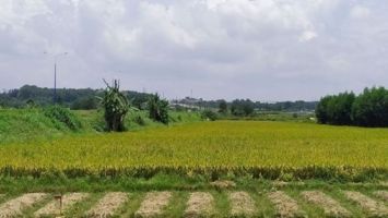 Điều kiện, tiêu chí cho phép chuyển mục đích sử dụng đất