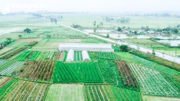 Thêm 4 xã của huyện Nam Đàn được công nhận đạt chuẩn 'Nông thôn mới kiểu mẫu'