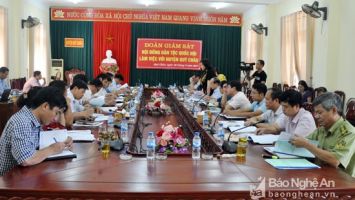 Ưu tiên giao đất, giao rừng cho hộ nghèo và người dân tộc thiểu số