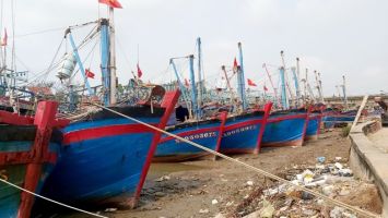 Nhiều dự thảo Nghị quyết về cơ chế, chính sách đặc thù đang được hoàn thiện để trình Hội đồng nhân dân tỉnh