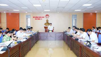 Thống nhất trình HĐND tỉnh Nghệ An 7 dự thảo Nghị quyết về chuyển đổi mục đích sử dụng đất và đầu tư công