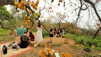 Tín hiệu vui từ du lịch canh nông