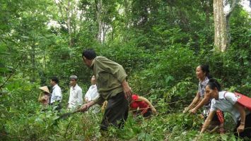 Sở Nông nghiệp và Phát triển nông thôn trả lời cử tri Ngân Đình Phòng, bản Huồi Mác, xã Lạng Khê, huyện Con Cuông về cấp gạo bảo vệ rừng