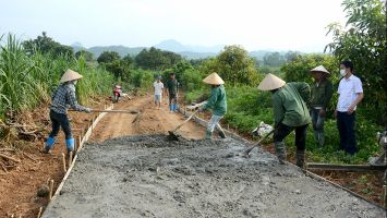 Sở Nông nghiệp và Phát triển nông thôn trả lời cử tri xã Kim Thành, huyện Yên Thành về ứng trước xi măng để hoàn thành tiêu chí giao thông nông thôn