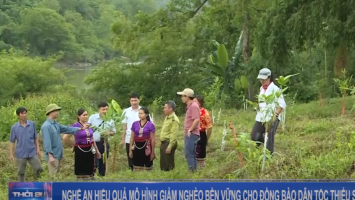 Nghệ An - Hiệu quả mô hình giảm nghèo bền vững cho đồng bào dân tộc thiểu số