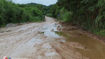 Cử tri xã Tân Thắng, huyện Quỳnh Lưu kiến nghị duy tu, sửa chữa tuyến tỉnh lộ 538B