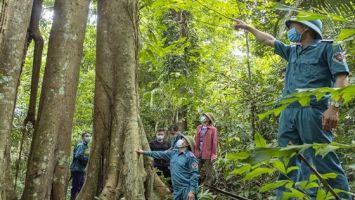 UBND huyện Nam Đàn trả lời cử tri Võ Minh Đức, xã Nam Kim, huyện Nam Đàn về quy hoạch sử dụng đất và quy hoạch ba loại rừng