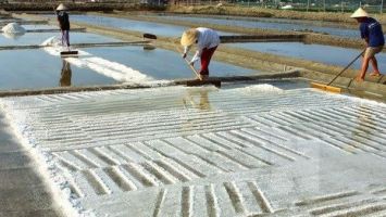 Bộ Nông nghiệp và Phát triển nông thôn trả lời kiến nghị cử tri về tháo gỡ khó khăn cho người sản xuất muối