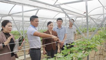 HĐND huyện Nghi Lộc: Nhiều vấn đề dân sinh được giải quyết qua các phiên giải trình