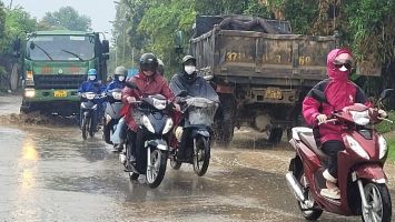 Sở Giao thông vận tải trả lời kiến nghị của cử tri huyện Hưng Nguyên về tu sửa, nâng cấp tuyến đường 542C đoạn đi qua xã Hưng Thông