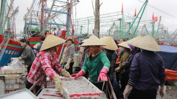 Sở Nông nghiệp và Phát triển nông thôn trả lời kiến nghị cử tri thị xã Hoàng Mai về việc chậm hỗ trợ cho ngư dân theo chính sách khai thác biển xa