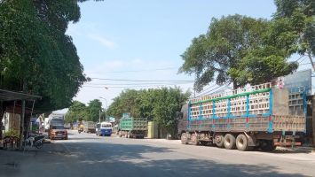 Sở Giao thông - Vận tải trả lời cử tri xã Yên Hợp, huyện Quỳ Hợp về sửa chữa, nâng cấp tuyến đường Quốc lộ 48