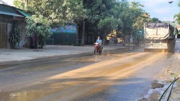 Sở Giao thông - Vận tải trả lời cử tri huyện Hưng Nguyên về đảm bảo an toàn giao thông tại tuyến đường tỉnh 542C và tuyến đường tỉnh 542E