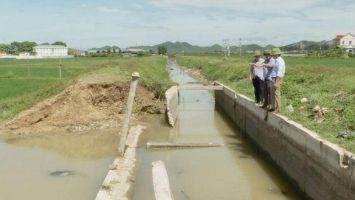 Sở Nông nghiệp và Phát triển nông thôn trả lời cử tri Nguyễn Đình Hanh, Chủ tịch Ủy ban nhân dân phường Quỳnh Xuân, thị xã Hoàng Mai về nâng cấp hệ thống kênh Vực Mấu