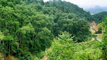 Thường trực HĐND tỉnh xử lý đơn của ông Nguyễn Văn Đàn, trú tại xóm Liên Sơn, xã Kim Liên, huyện Nam Đàn