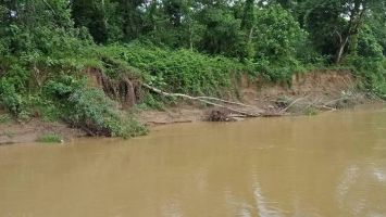 Bộ Nông nghiệp và Phát triển nông thôn trả lời kiến nghị cử tri về kinh phí thực hiện Dự án sửa chữa, nâng cấp đê Lương – Yên - Khai