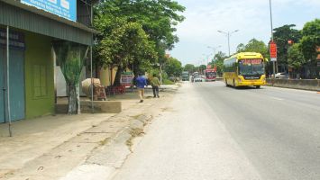 Sở Giao thông - Vận tải trả lời cử tri Đinh Văn Hoan, Tổ dân phố Toàn Thắng, phường Mai Hùng, thị xã Hoàng Mai về chi trả tiền đền bù đất thuộc dự án nâng cấp, mở rộng Quốc lộ 1A