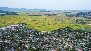 Sở Giao thông vận tải trả lời cử tri Nguyễn Công Hợp, xóm 7, xã Nam Kim, huyện Nam Đàn về xây dựng hệ thống mương thoát nước hai bên Quốc lộ 15A