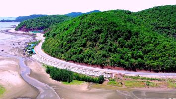 Bàn giao xong mặt bằng dự án đường ven biển đoạn Nghệ An trong tháng 8/2024